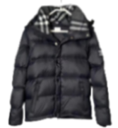 Burberry Down Jacket