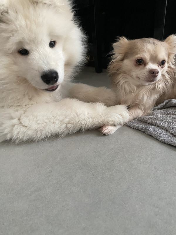 AD722FBA-10F7-4B8B-B5E3-EA6414E78F34