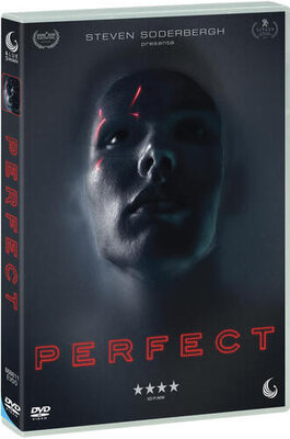 Perfect (2018) DVD5 Compresso iTA - DDN