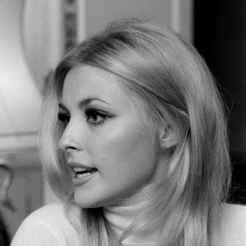 sharon_tate_md87
