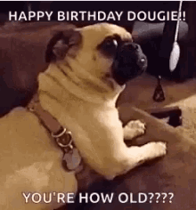happy-birthday-dougie-youre-how-old.gif