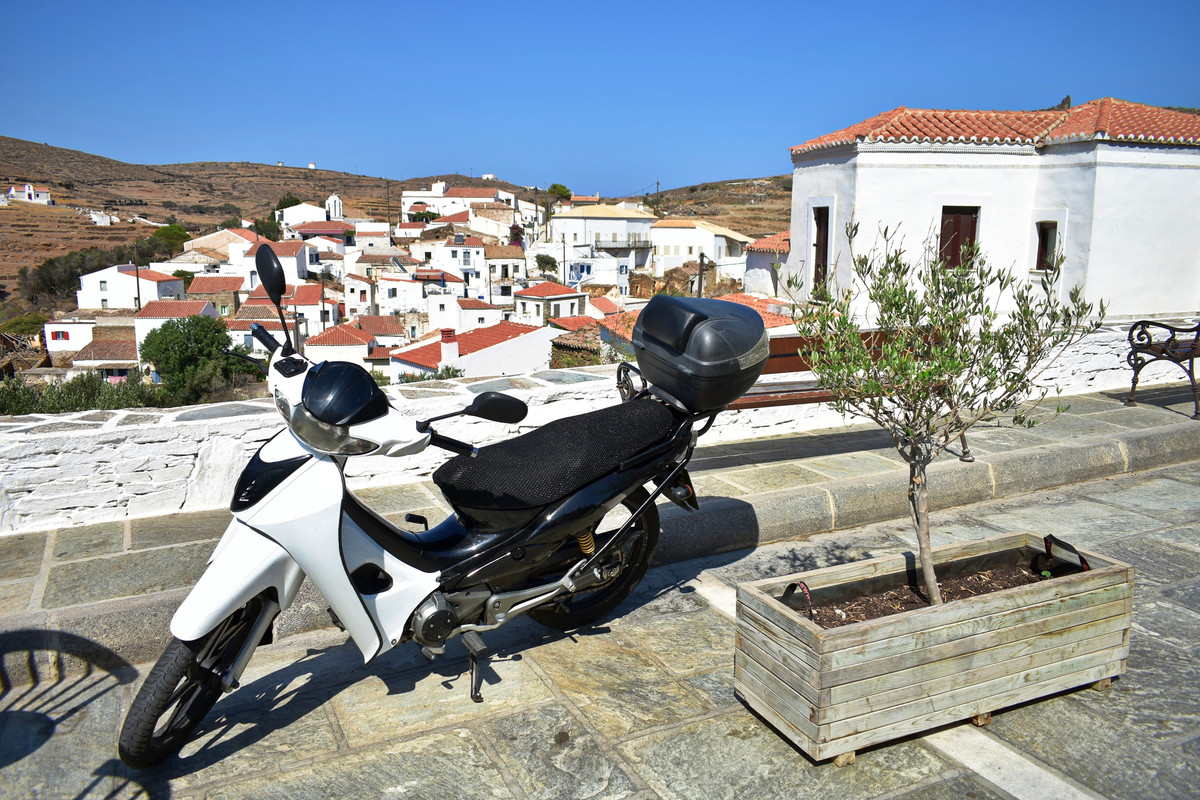 Δρυοπίδα (39)