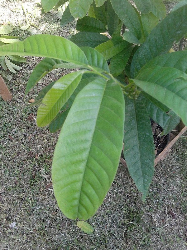 WhatsApp Image 2018-04-24 at 12.28.08