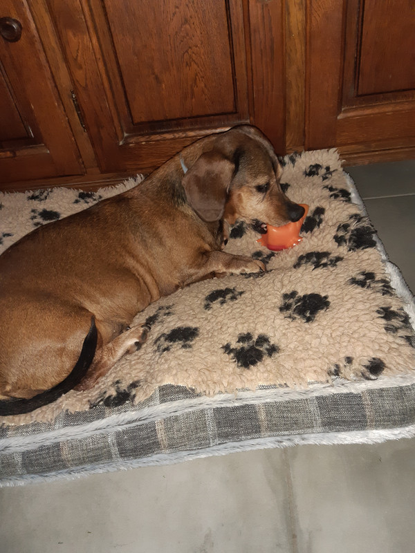 [Image: 20210522-185936.jpg]