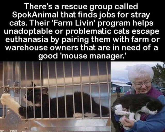 faith-in-humanity-24