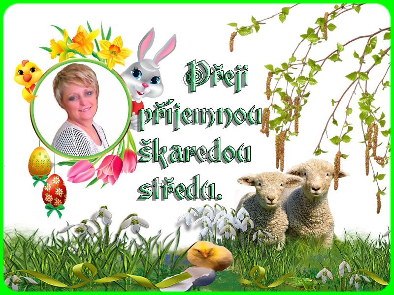 Nepojmenovany-2-kopie