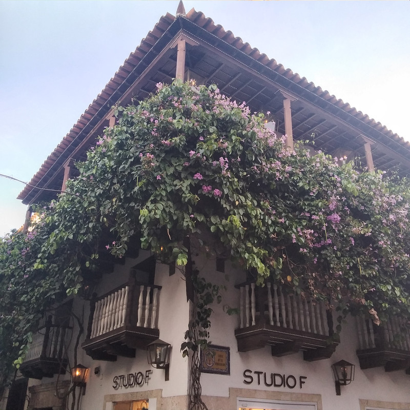 Зимовка 2026, полтора месяца в Колумбии.