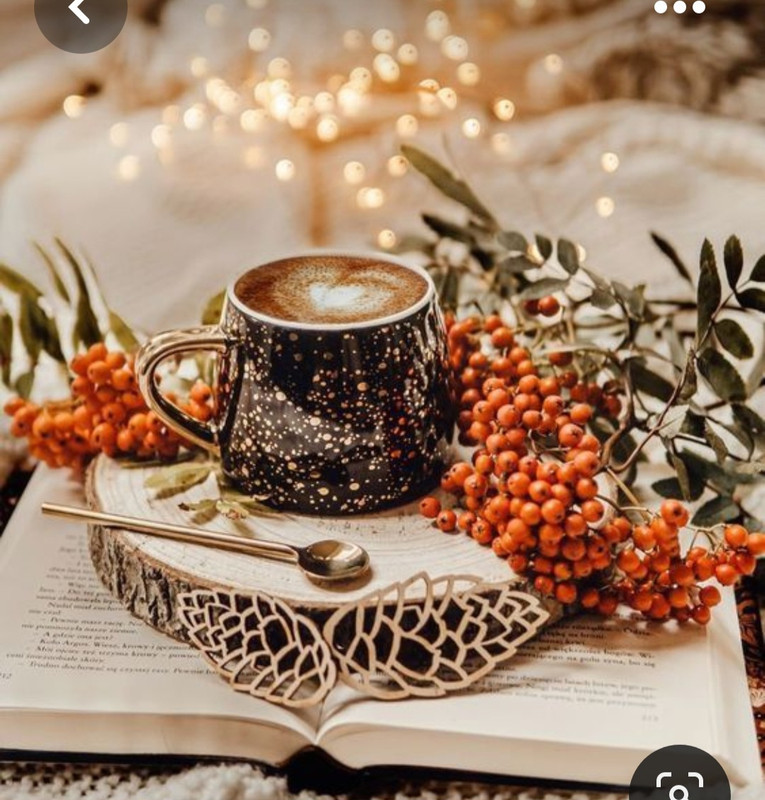 Screenshot_20230528_222452_Pinterest