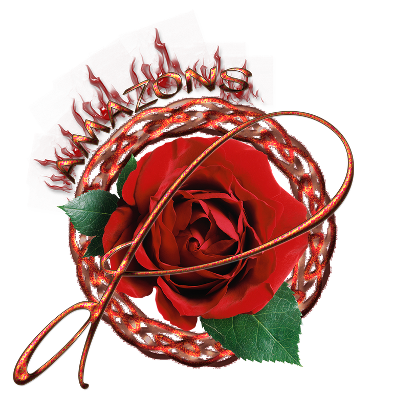 dO logo no back_zps4t3pnrdw (1)