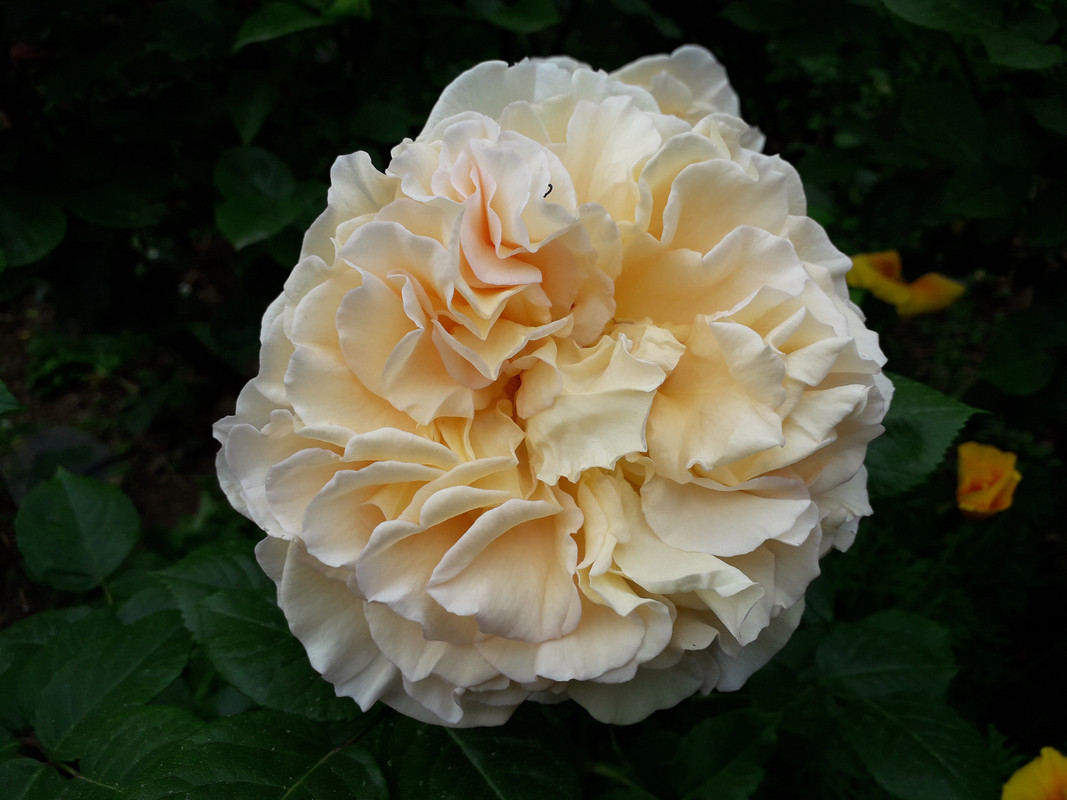 20190530_154350