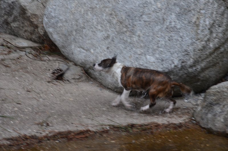 EL CHARCO VERDE-7-2-2015-AVILA - Paseando por España-1991/2015-Parte-1 (34)