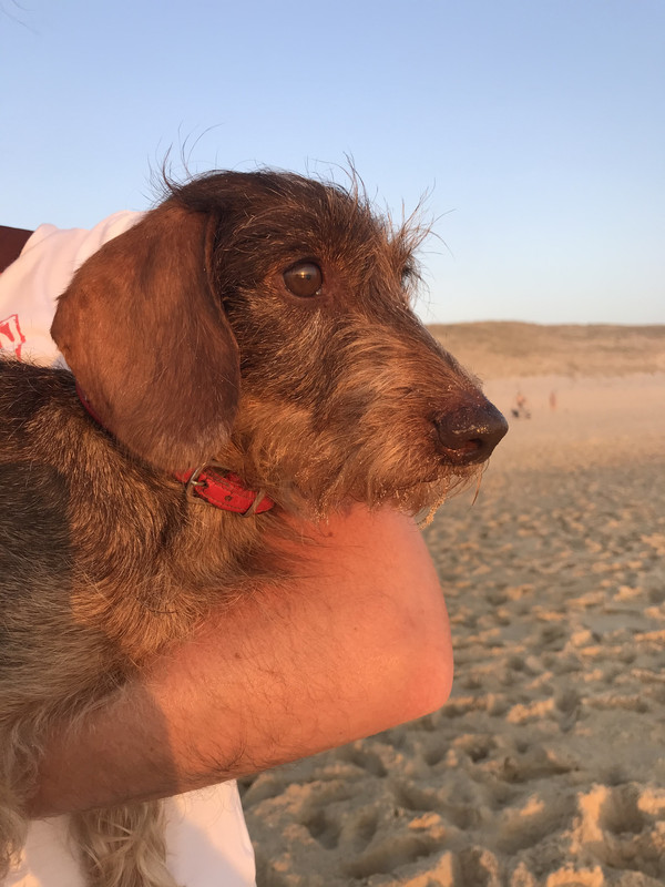 [Image: D1-C356-D0-75-FF-4-B00-837-D-B87-A7-BAD30-EC.jpg]