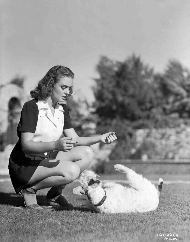 donna_reed_b38