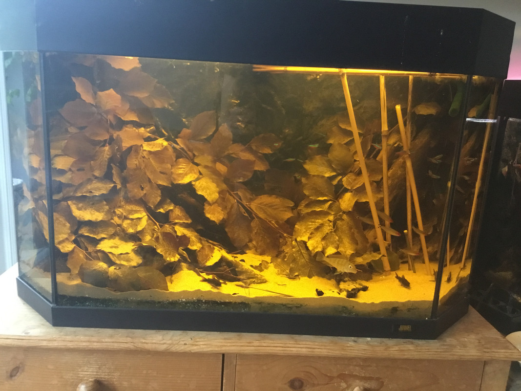 06104AB9-5326-446E-978E-5C4275F06C8D