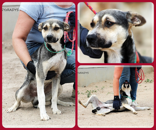 BeFunky-collage (15)