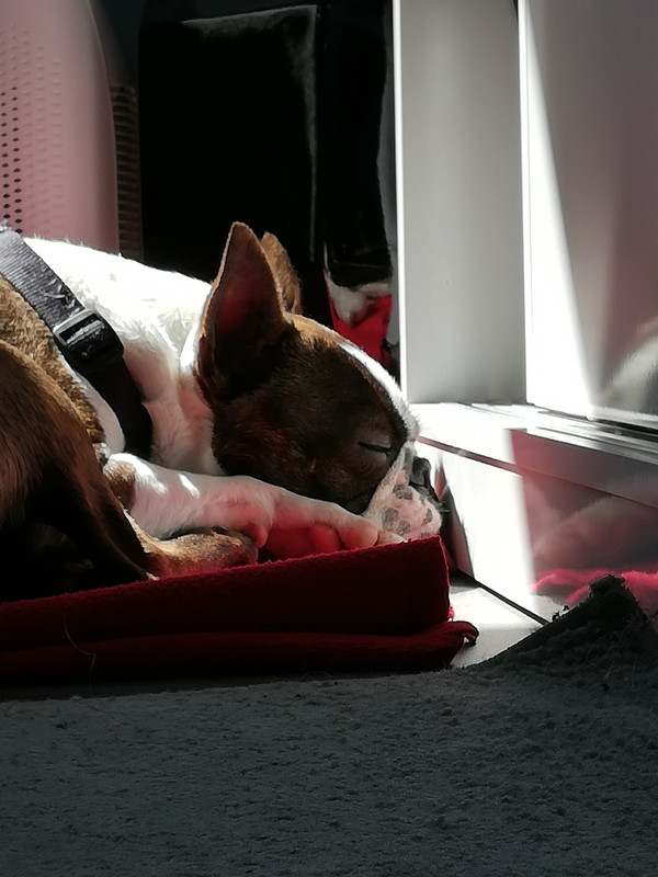 3917C218-2BD6-4608-85E5-9BB13B781963