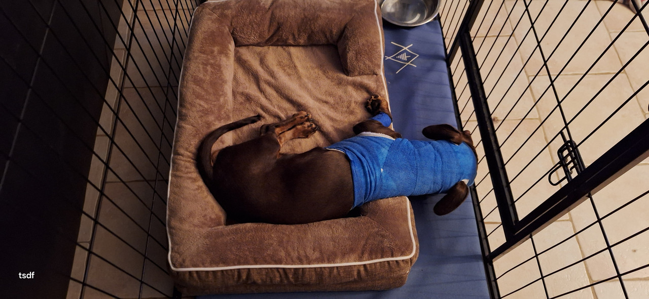 [Image: 20250808-223722.jpg]