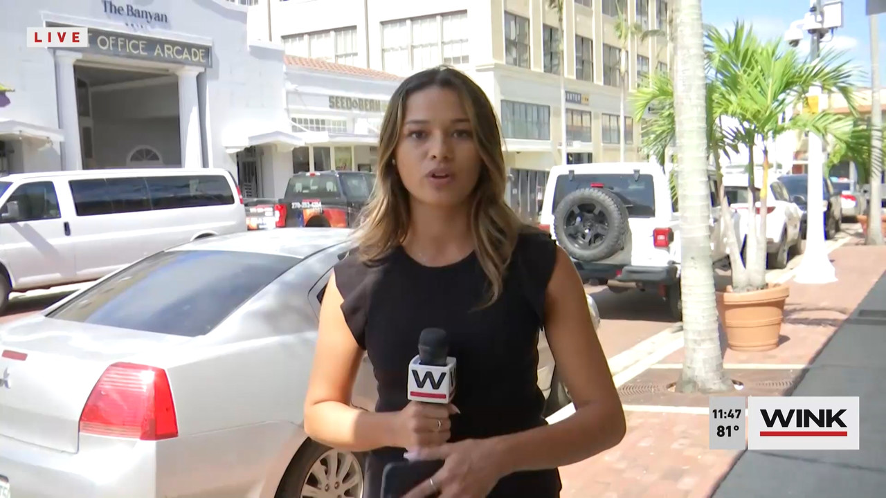 10.09 - 16.30.00 - WINK NEWS at 11 30am  ᴺᵉʷ. Midday news..ts_snapshot_23.41.714