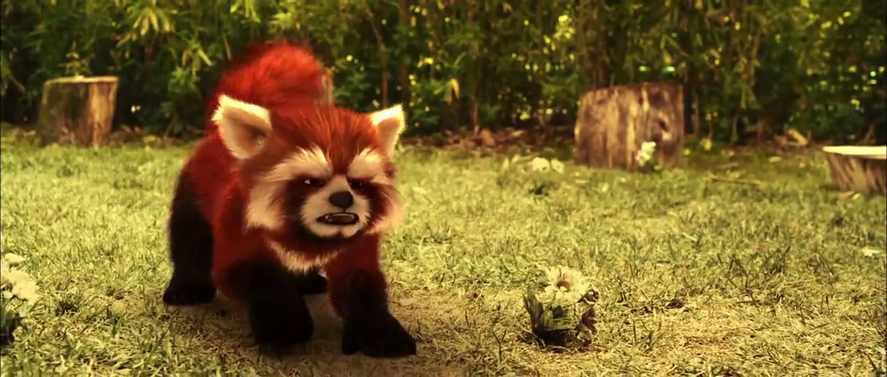 vlcsnap-2021-12-29-19h33m05s330