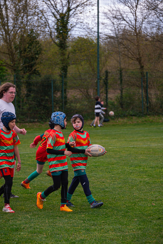 tournoi-de-latlantique-2026-adonis-griffon-126-55181288041-l