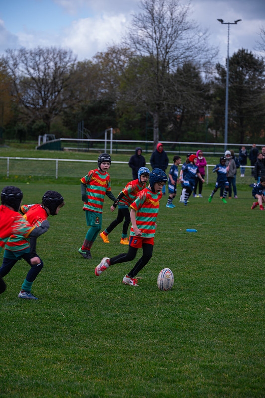 tournoi-de-latlantique-2026-adonis-griffon-123-55180399802-l