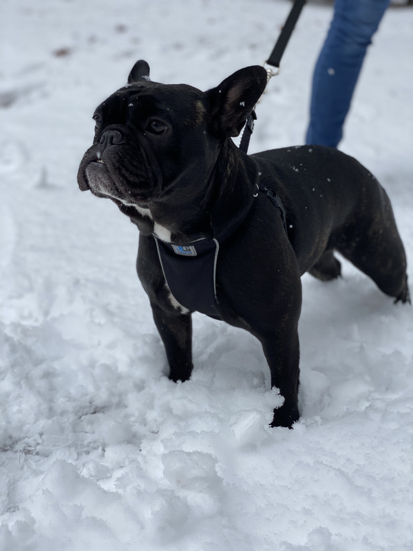 CC80E73C-C657-4482-83F7-477377AEBE21