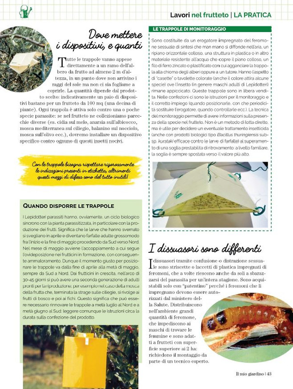 Il Mio Giar Apr-Mag 2023 (10)
