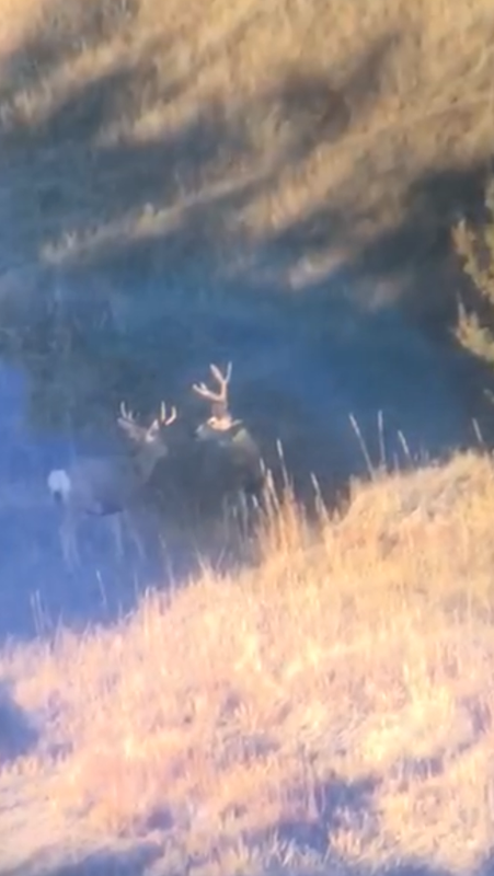 585E0CC5-530E-4B5D-824D-248242197B9E