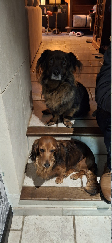 [Image: 20251022-171149.jpg]