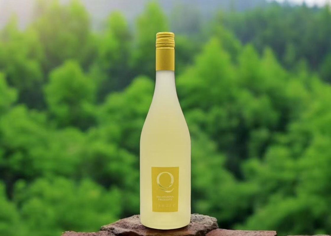 Falanghina frizzante