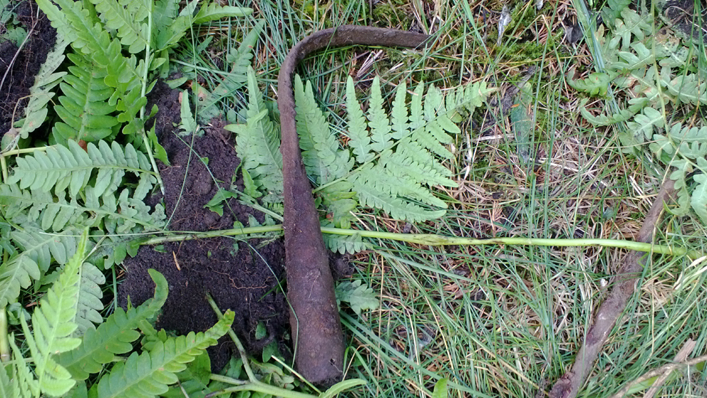 keihäs4
