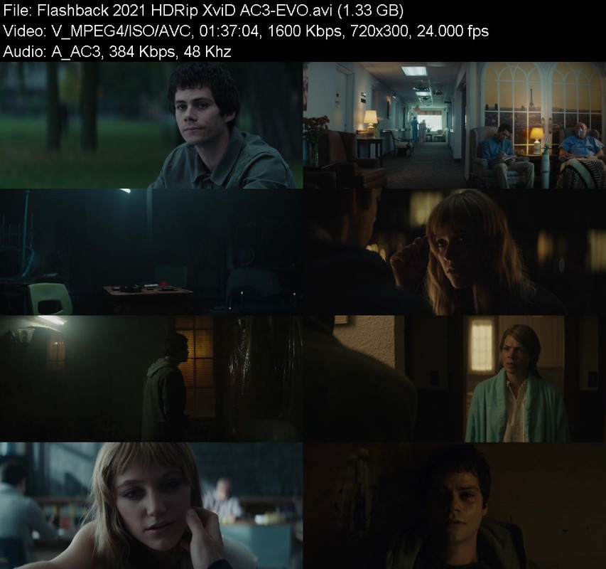 flashback-2021-hdrip-xvid-ac3-evo.jpg