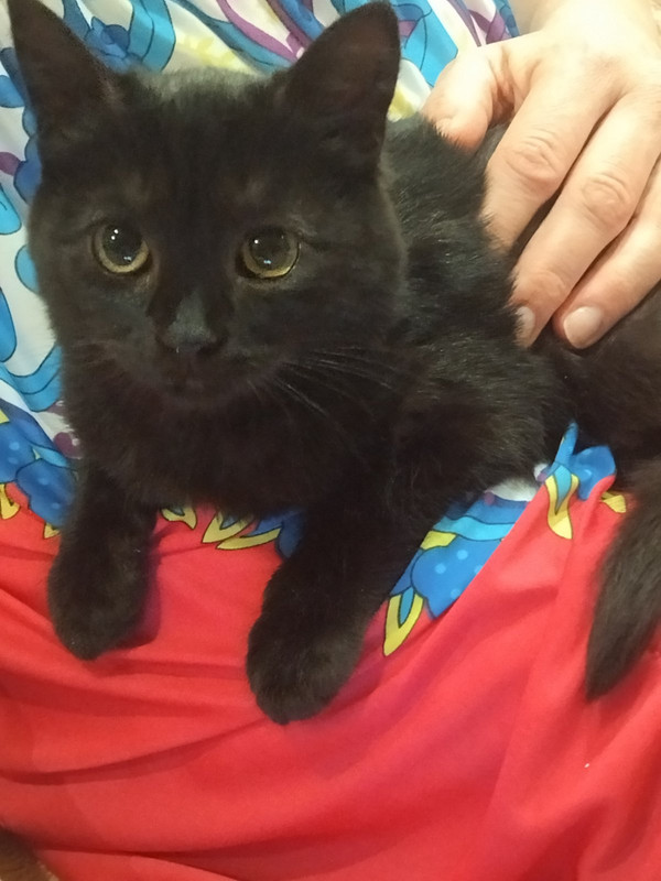 IMG-d55609be2c5c8d27fdf8ba6b3ebe9cbc-V