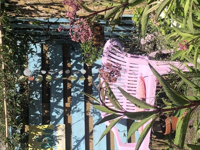 74399961-E356-4F80-80A7-1704A93DA32A