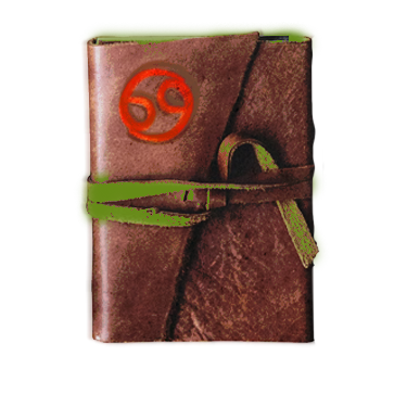 Signless book