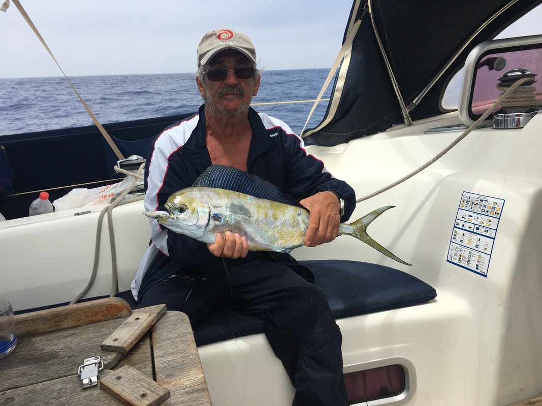 DDFD66F7-0D76-4B60-AEC9-EC6ADCF6D5C7