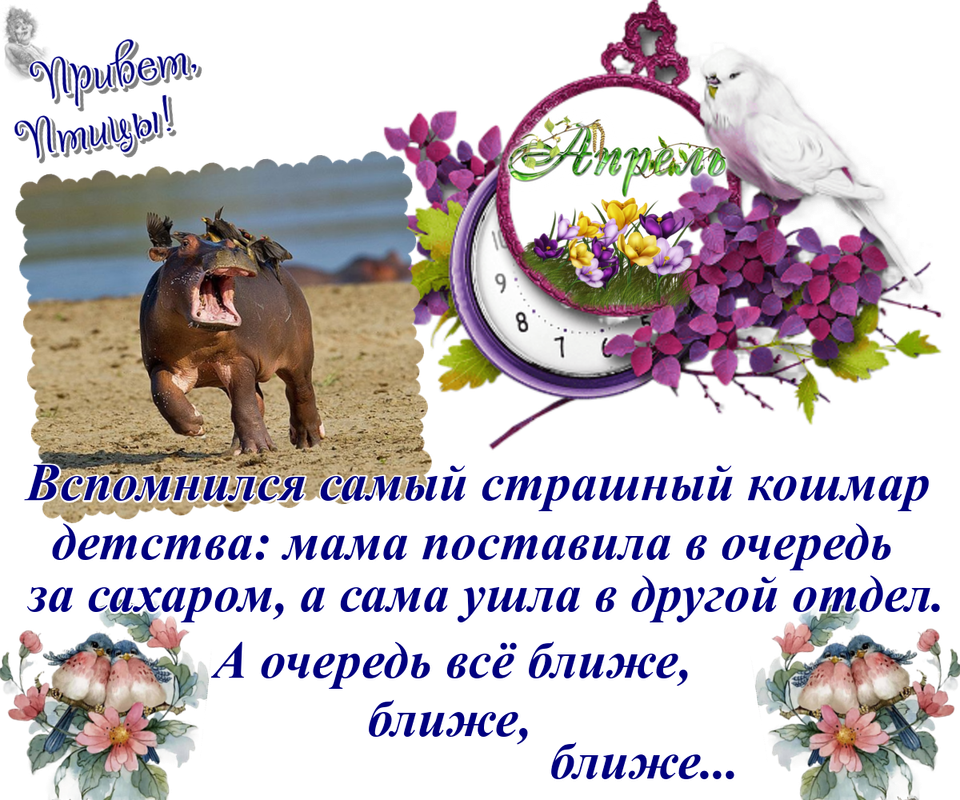 https://i.postimg.cc/cJvQL21k/11-04.png