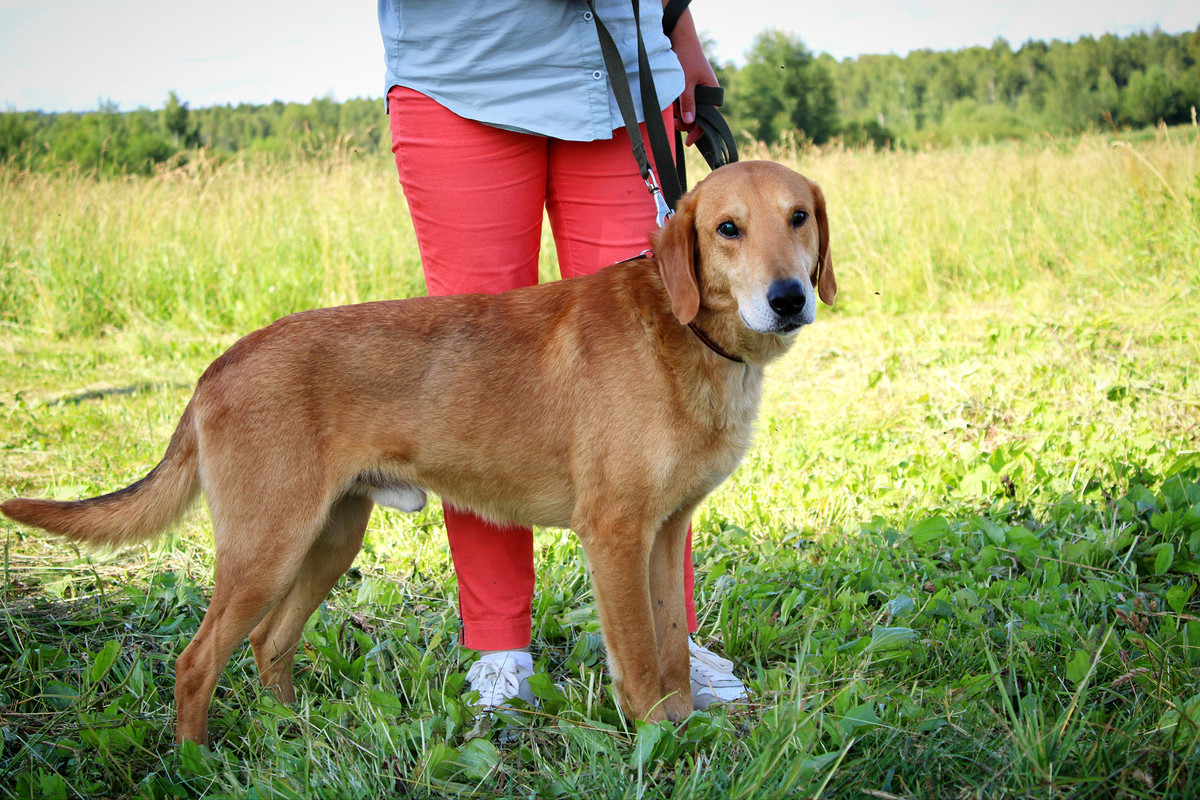 Polish_20250714_180557011 (1)