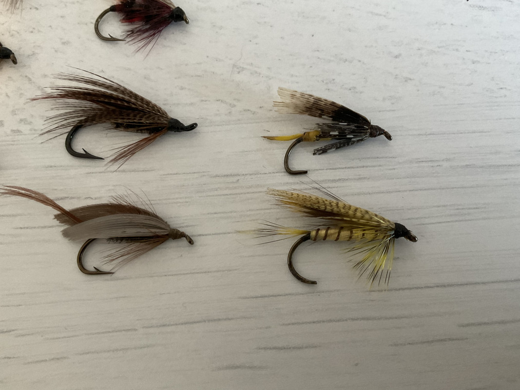 086C9070-E33E-4E87-8324-30D208F139B1