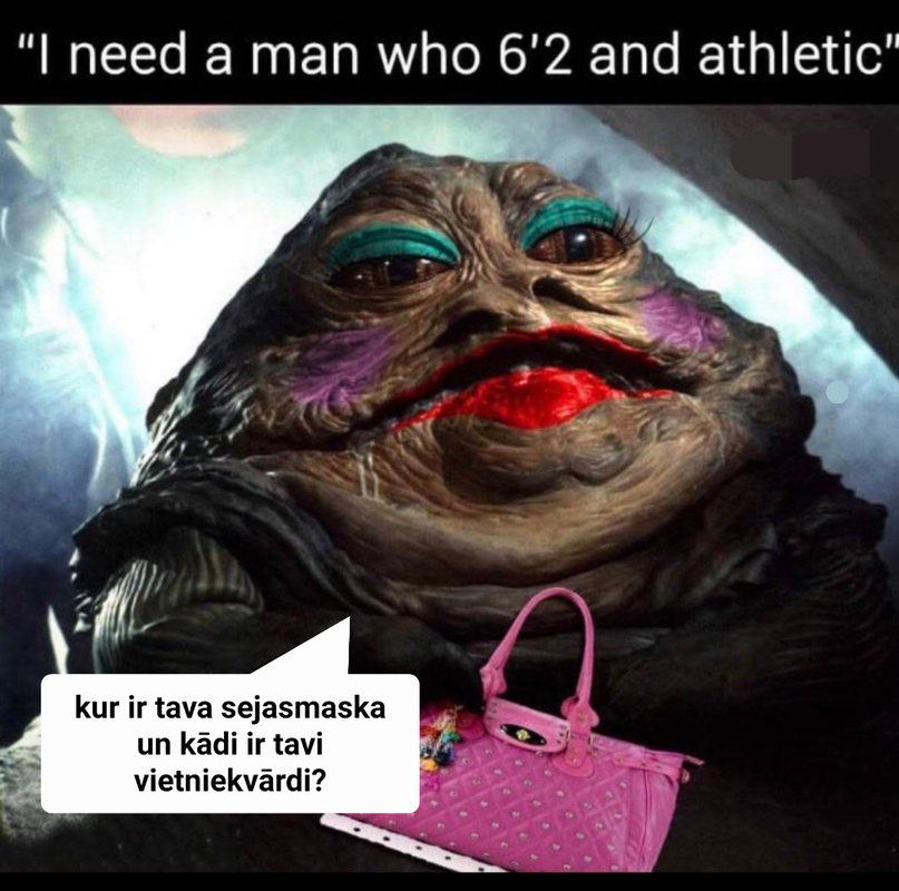 bišu karaliene bee like