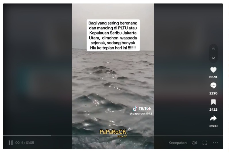Video viral penampakan hiu paus di perairan Jakarta.