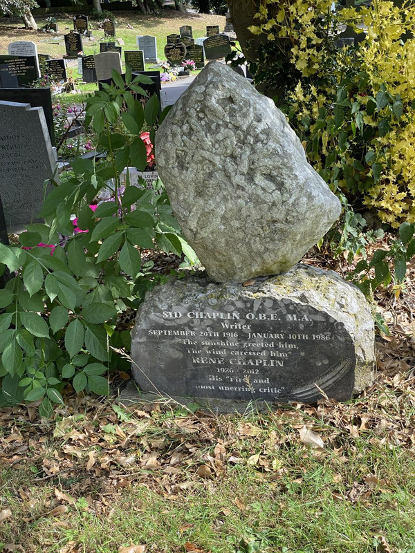 488507796 1054103726755465 7626668510810650875 n