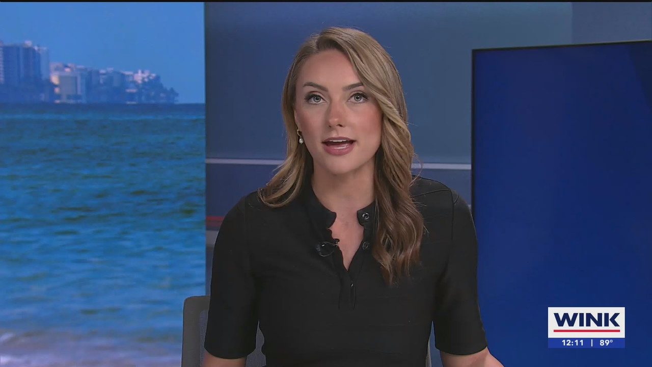The WINK Noon News_20240829_17001730.ts_snapshot_17.00.112