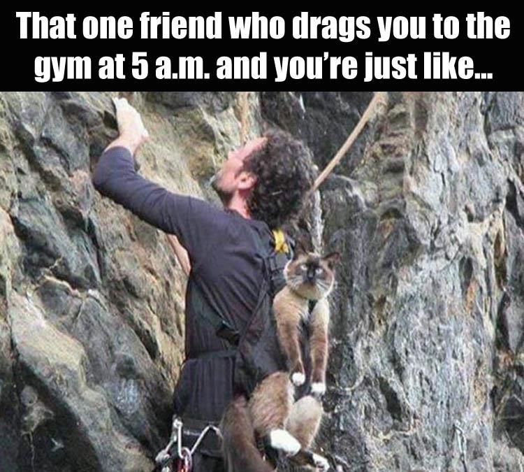 friends.jpg