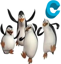 Los Pinguinos, de Madagascar C