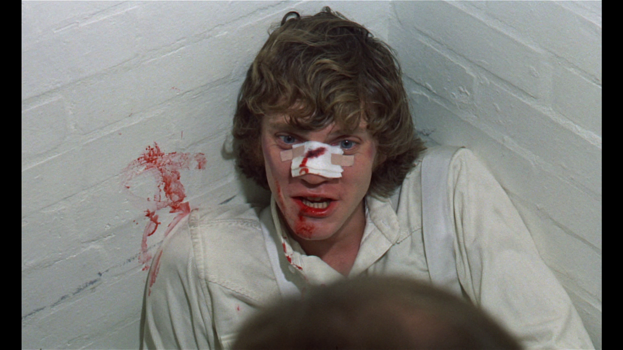 vlcsnap-2022-08-10-21h55m03s763