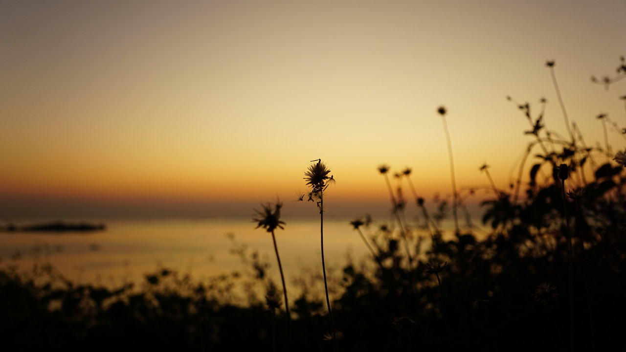 DSC01919