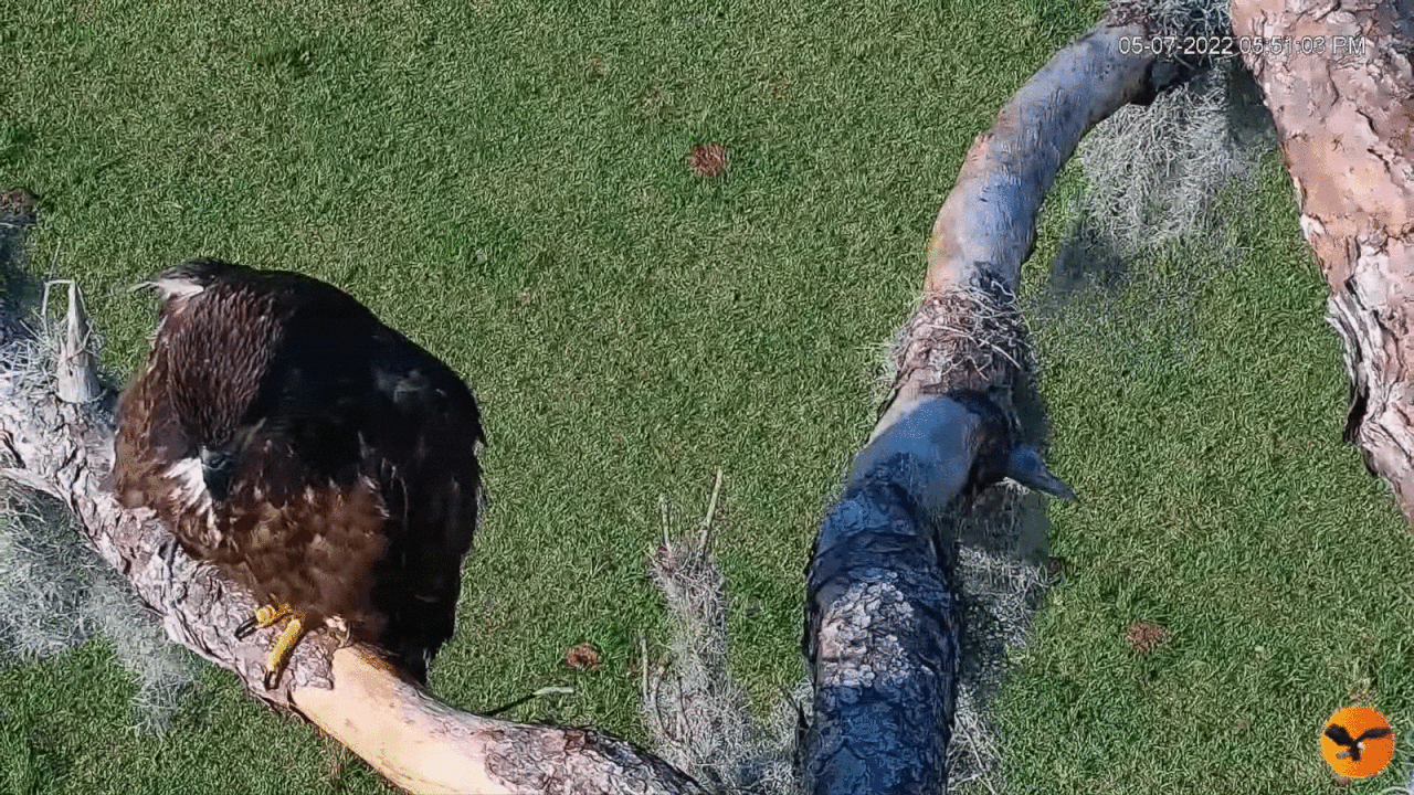 Webp.net-gifmaker (1) (2)