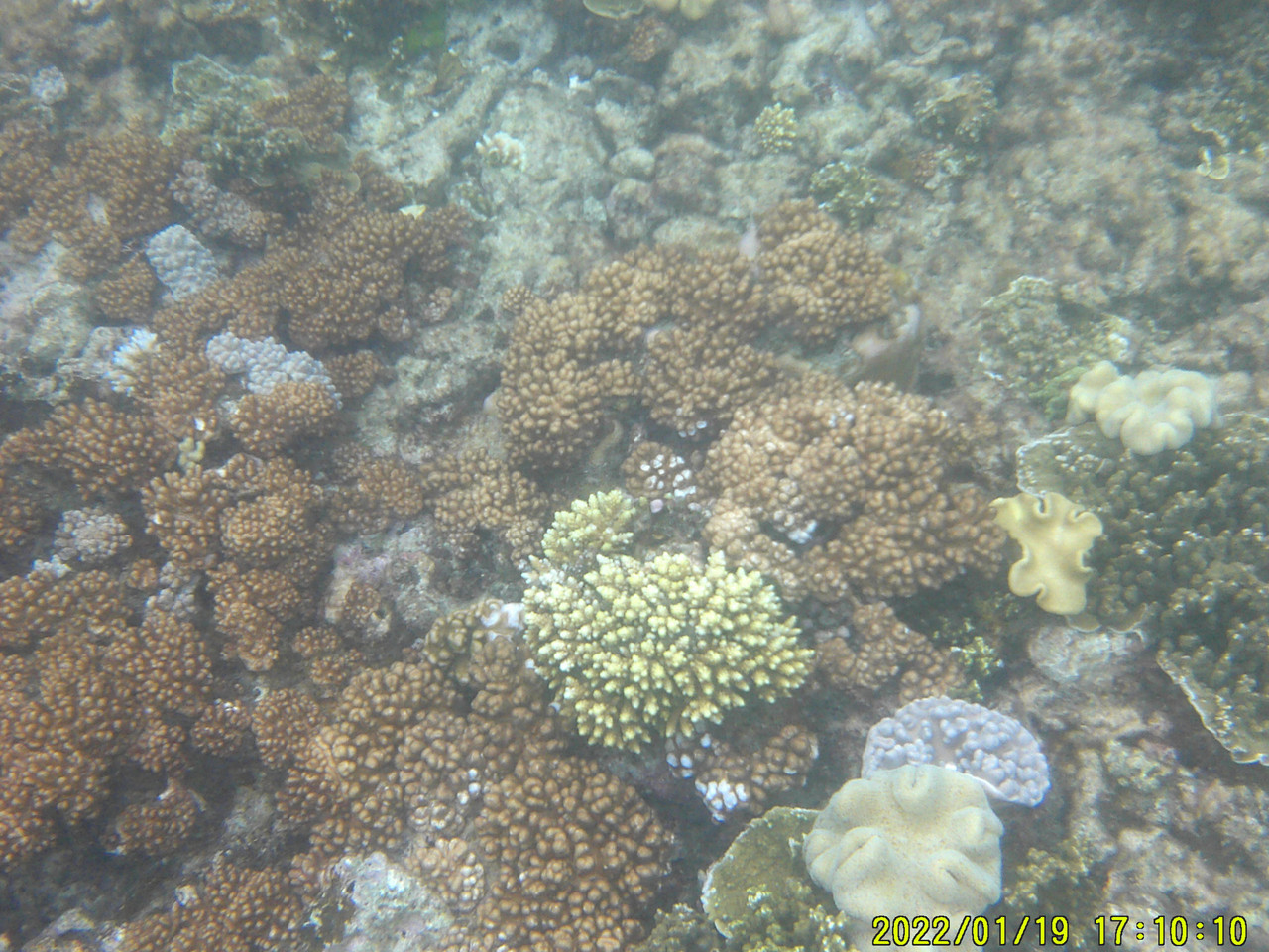 DSCF0017