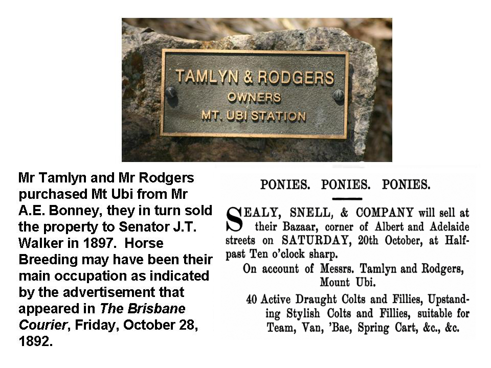 Tamlyn Rodgers